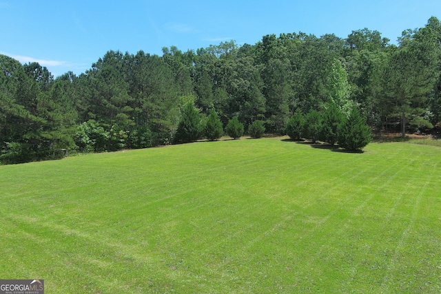 view of green lawn