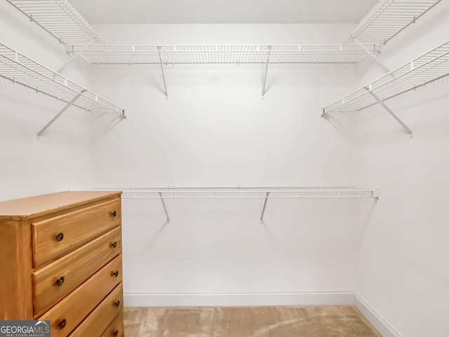 walk in closet with light carpet