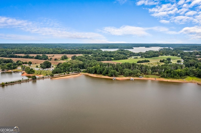 drone / aerial view of a nearby body of water