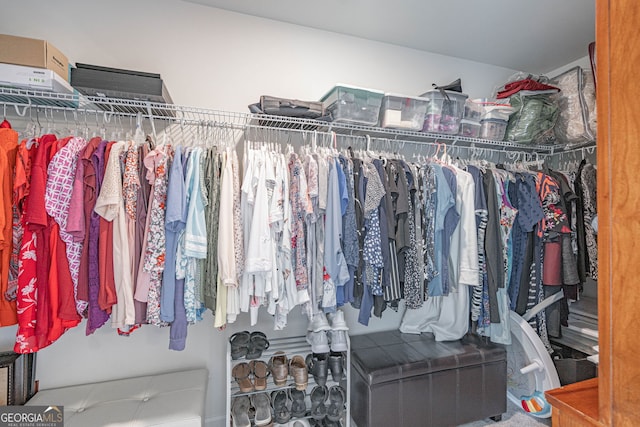 view of walk in closet