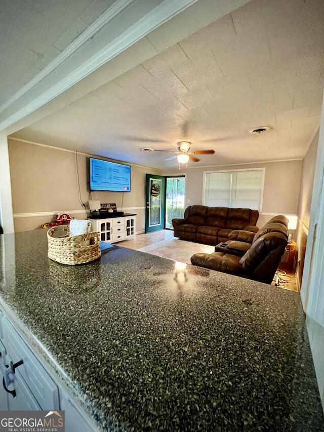 living area featuring a ceiling fan