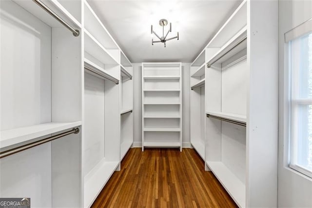 1571 Blvd Lorraine, Atlanta, GA 30311 - walk in closet with dark wood-style flooring