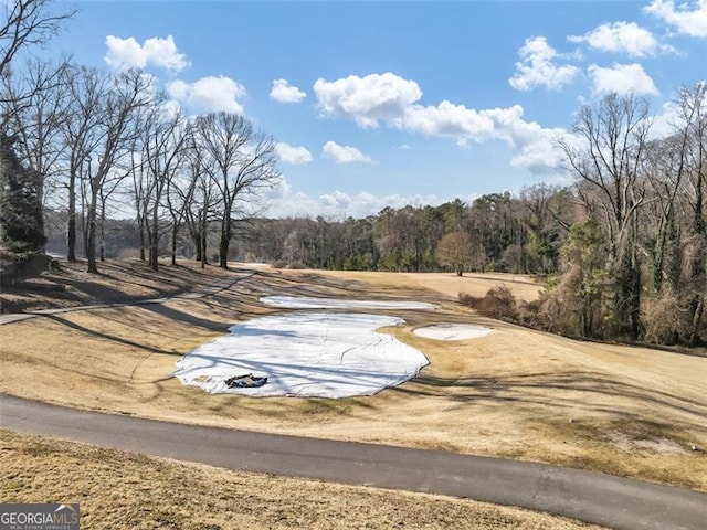 1571 Blvd Lorraine, Atlanta, GA 30311 - view of street featuring a wooded view