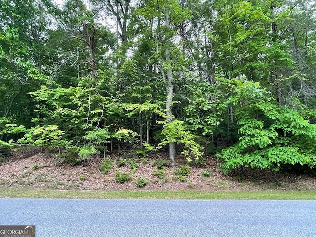 0 Point Rd Lot 515, Westminster, SC 29693