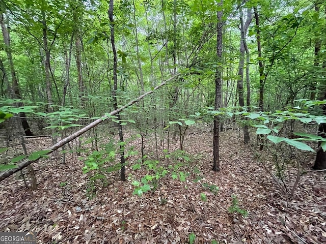 0 Point Rd Lot 515, Westminster, SC 29693