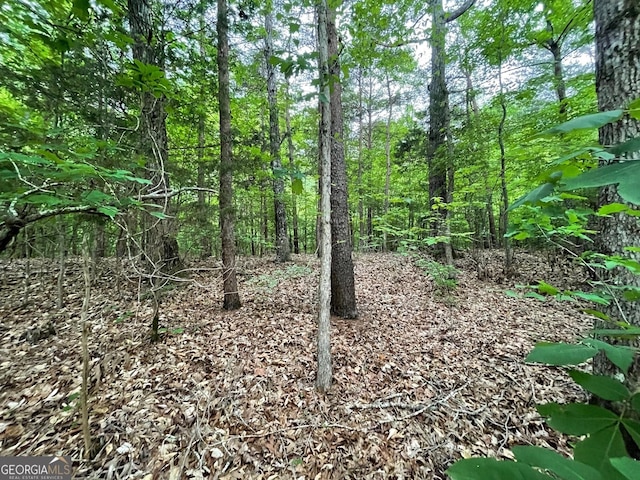 0 Point Rd Lot 515, Westminster, SC 29693