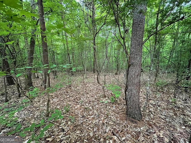 0 Point Rd Lot 515, Westminster, SC 29693