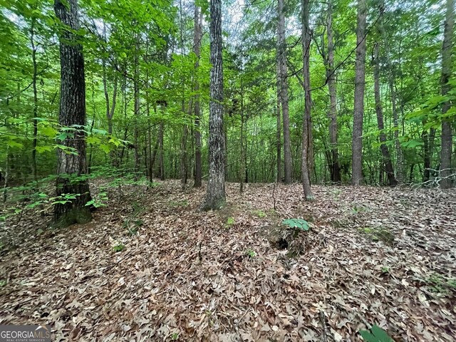 0 Point Rd Lot 515, Westminster, SC 29693