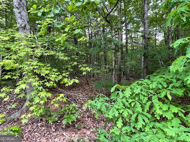 0 Point Rd Lot 515, Westminster, SC 29693