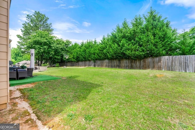 1892 Ivy View Walk, Loganville, GA 30052 - view of yard
