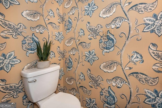 half bathroom featuring toilet
