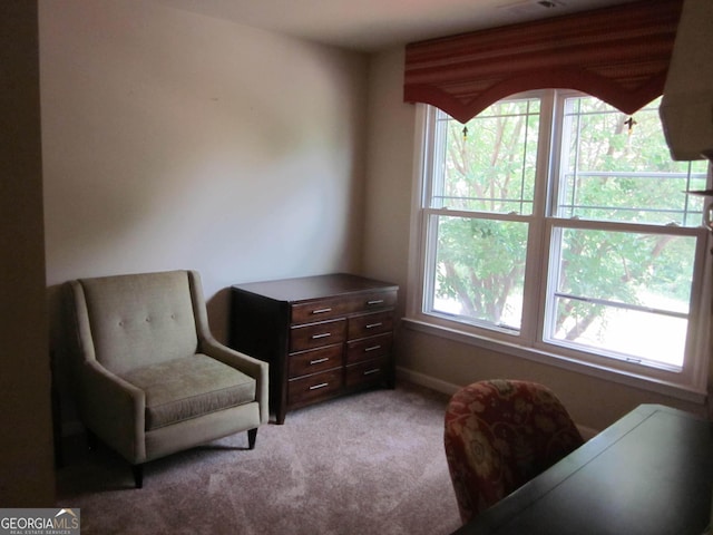 1527 Princeton Ave, College Park, GA 30337 - sitting room featuring carpet and baseboards