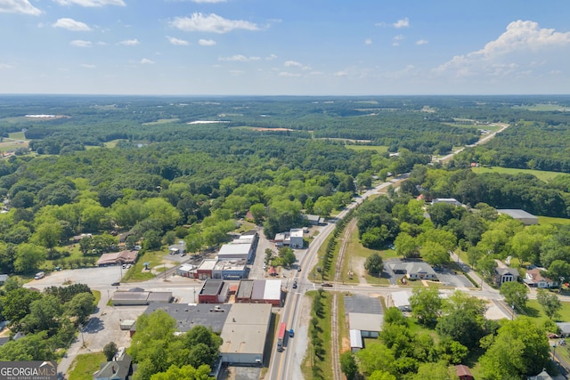 1 Public Sq, Bowman, GA 30624 - aerial view of a forest