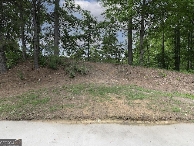 201 Twin Pines Ct, Dallas, GA 30132 - view of local wilderness