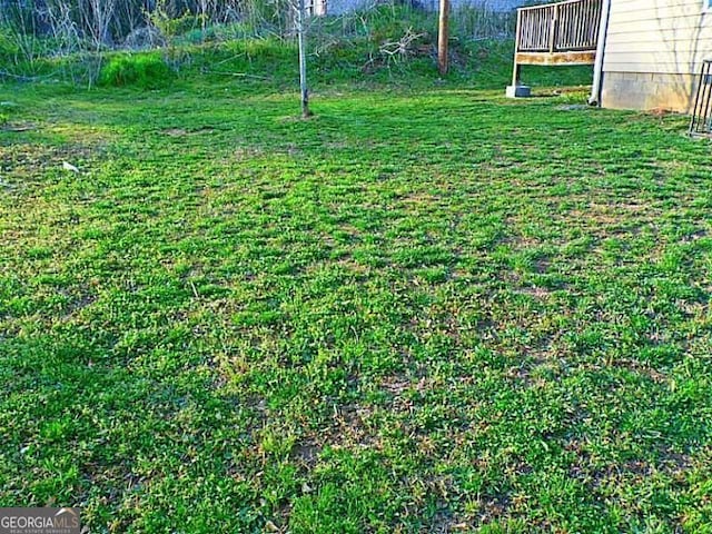 view of grassy yard