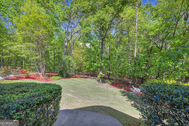 1886 Bend N Hickory Rd, Toccoa, GA 30577 - view of green lawn
