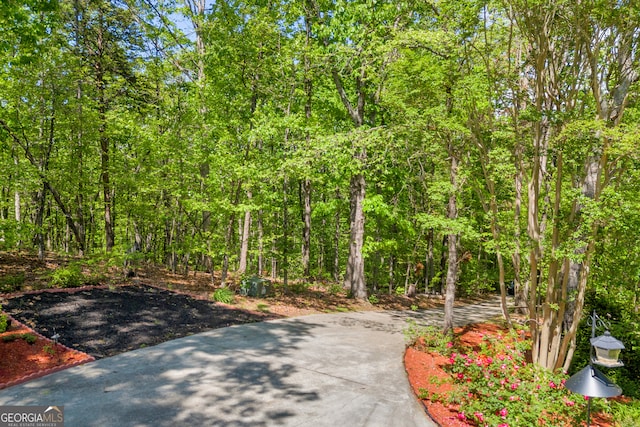 1886 Bend N Hickory Rd, Toccoa, GA 30577 - surrounding community with a view of trees and driveway