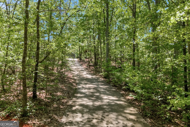 1886 Bend N Hickory Rd, Toccoa, GA 30577 - view of road