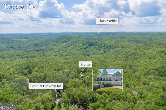1886 Bend N Hickory Rd, Toccoa, GA 30577 - view of subject property featuring a heavily wooded area