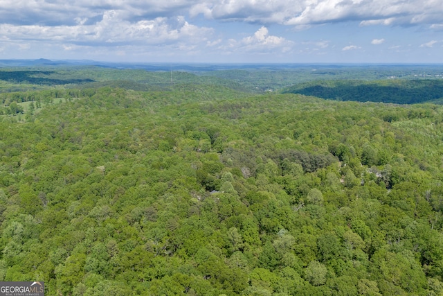 1886 Bend N Hickory Rd, Toccoa, GA 30577 - bird's eye view of a heavily wooded area