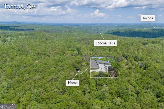 1886 Bend N Hickory Rd, Toccoa, GA 30577 - aerial view of a heavily wooded area