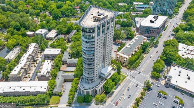 bird's eye view