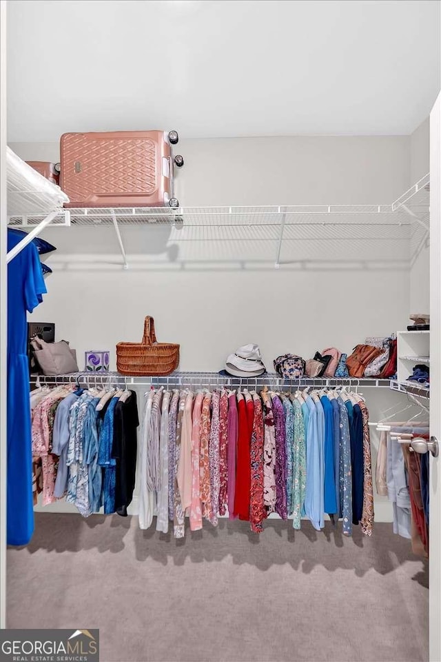 427 Bluffs View Ln, Canton, GA 30114 - walk in closet with carpet floors