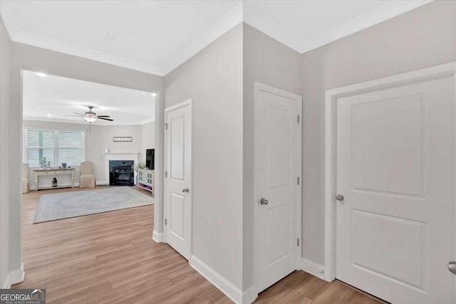 427 Bluffs View Ln, Canton, GA 30114 - hall with light wood-style floors, ornamental molding, and baseboards