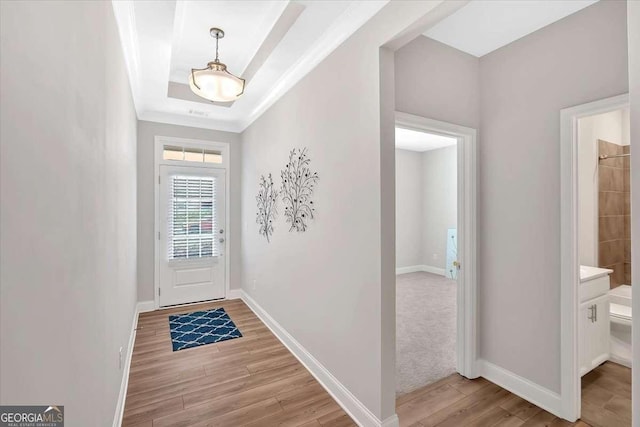 427 Bluffs View Ln, Canton, GA 30114 - entryway featuring light wood-style floors, baseboards, a tray ceiling, and ornamental molding