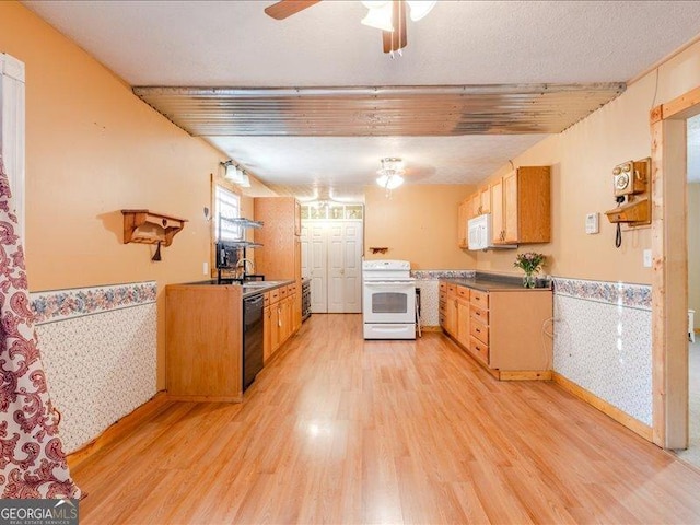 219 Briarwood Dr, Dallas, GA 30132 - kitchen featuring white appliances, light wood-style flooring, a ceiling fan, and a wainscoted wall