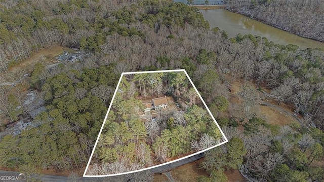 1791 Lake George Dr, Lithia Springs, GA 30122 - aerial view of property's location with property boundaries highlighted and a nearby body of water