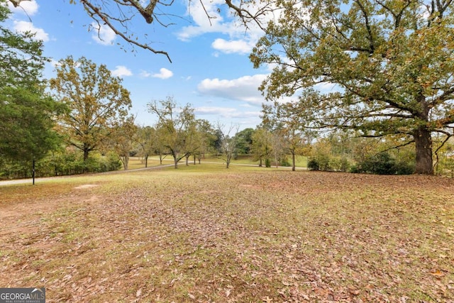 view of yard featuring view of wooded area