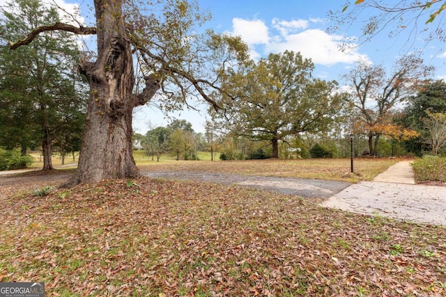 view of yard featuring driveway