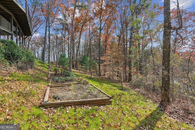 105 Yonah Vw, Dahlonega, GA 30533 - view of yard featuring a garden