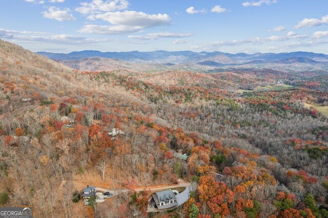 105 Yonah Vw, Dahlonega, GA 30533 - view of mountain background featuring a forest