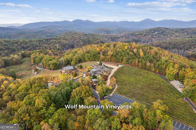 105 Yonah Vw, Dahlonega, GA 30533 - view of property location with a forest and a mountain backdrop