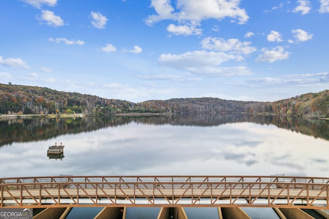 105 Yonah Vw, Dahlonega, GA 30533 - dock area with a forest view and a water view