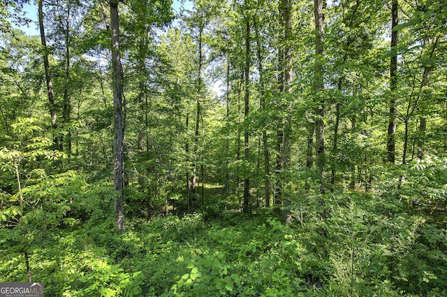 567 Fred Kelley Rd NE, Rome, GA 30161 - view of wooded area