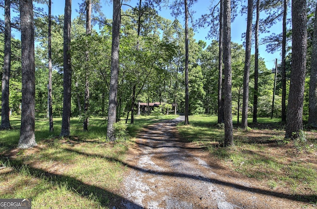 567 Fred Kelley Rd NE, Rome, GA 30161 - view of street