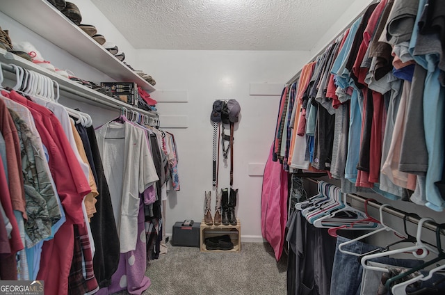 567 Fred Kelley Rd NE, Rome, GA 30161 - spacious closet with carpet floors