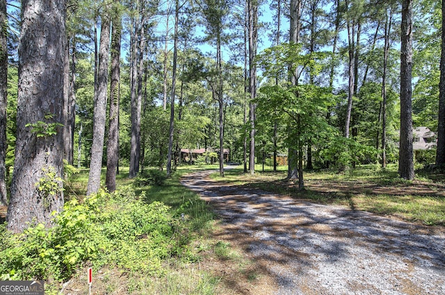 567 Fred Kelley Rd NE, Rome, GA 30161 - view of dirt / gravel driveway