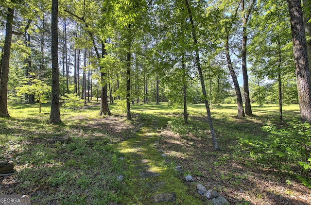 567 Fred Kelley Rd NE, Rome, GA 30161 - view of undeveloped land