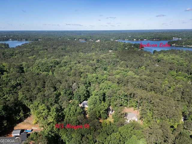 aerial overview of property's location featuring a forest and a nearby body of water