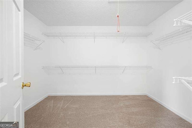 walk in closet featuring carpet flooring