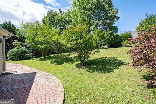 view of grassy yard featuring a patio area