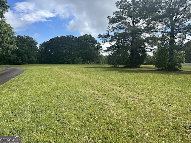 view of green lawn