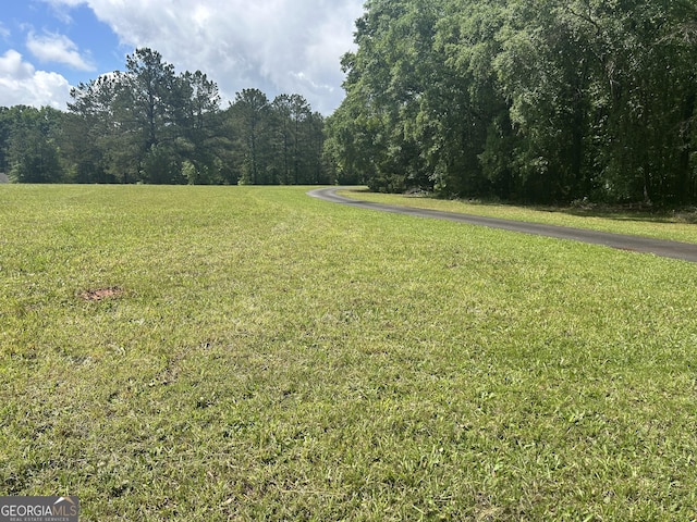 view of grassy yard featuring a forest view