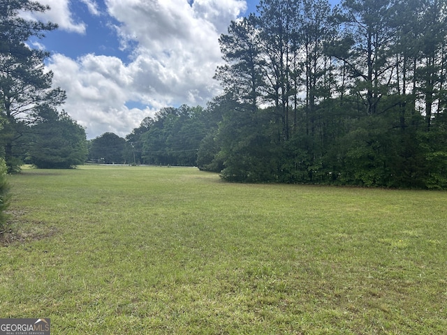 1627 Leguin Mill Rd, Locust Grove, GA 30248 - view of grassy yard with a forest view