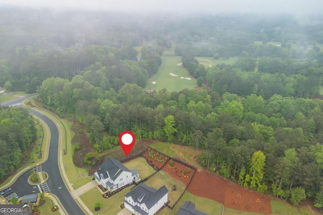 bird's eye view of a forest