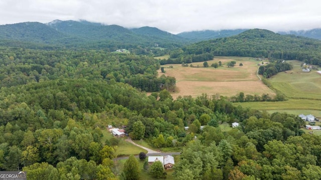 456 Pickelsimer Rd, Blairsville, GA 30512 - drone / aerial view of a forest and mountains